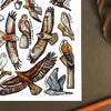 Alexia Claire | Birds of Prey in Britain | Postcard | Conscious Craft
